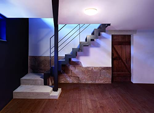 Steinel Innenleuchte RS 16 L, Wandleuchte, Deckenleuchte, 360° Bewegungsmelder, 3-8 m Reichweite,E 27, Max. 60 Watt… – Bild 5