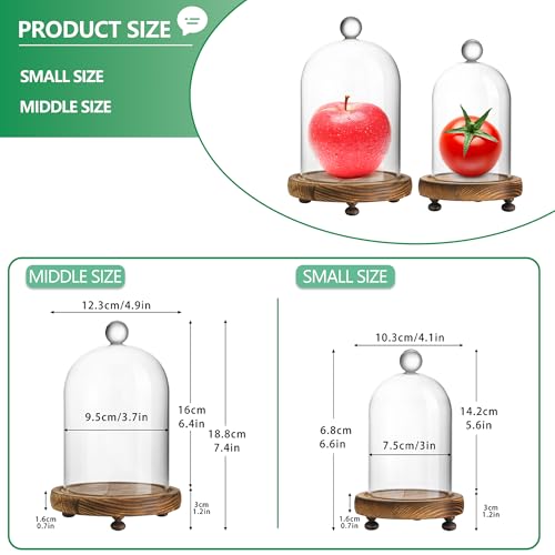 image for ZEERSHEE Pack 2 Clear Glass Dome with Wooden Base Glass Display Cloche