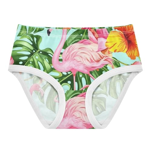 Colorful Toddlers Underwear Floral 2t Cotton Panties for Girl Tropical Pink Flamingos Briefs Undies Kids