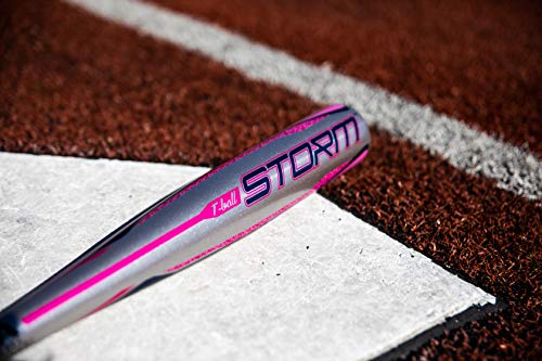 Rawlings 2020 Storm Usa Youth Tball Bat,Pink/Silver, 24 Inch (-12) #TOP5