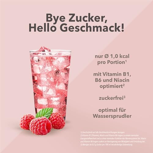 Best Body Nutrition Vital Drink ZEROP® - Himbeere, Original Getränkekonzentrat - Sirup - zuckerfrei, 1:80 ergibt 40 Liter Fertiggetränk, 500 ml