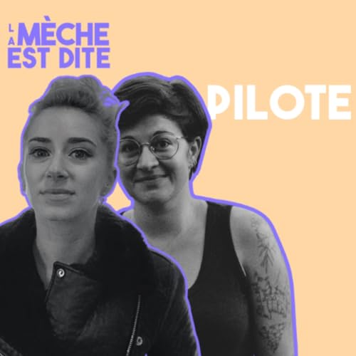 『Le pilote de LA MÈCHE EST DITE』のカバーアート