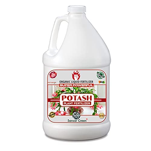 Sansar Green® Potash Liquid Fertilizer, Premium Essential Super Powerful Liquid Potash Fertilizer for Plants Growth (1000 ml) (B09H4QV84T) Amazon Price History, Amazon Price Tracker
