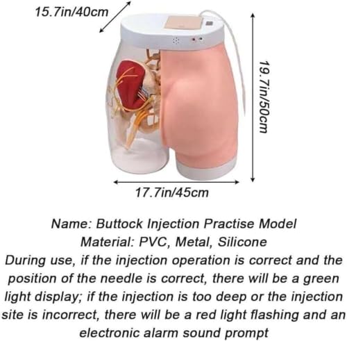 Modelo de práctica de inyección intramuscular glútea semi-transparente para entrenamiento miniatura 7