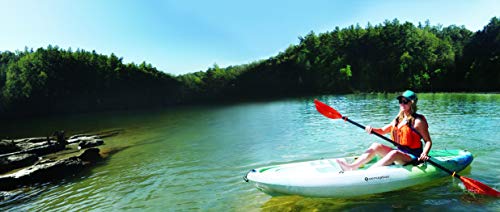 Image of Perception Rambler 9.5 | Sit on Top Kayak for All-Around Fun | Storage with Tie Downs