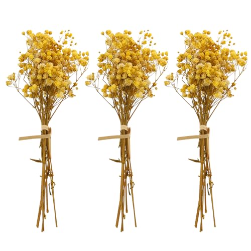 3 Ramilletes de Flores Secas de Aliento de Bebé Amarillo miniatura 1
