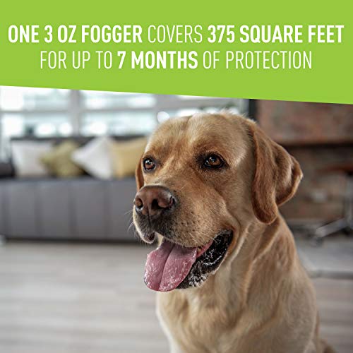 Adams Plus Flea & Tick Indoor Fogger, 3 x 3 oz Cans, Kills Fleas, Flea Eggs, Ants, Flies, Wasps, Cockroaches, Mosquitoes… - Image 5