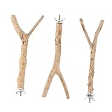 BESPORTBLE Soporte para Loros Palo para Pájaros Percha de Madera Juguetes para Masticar Loros Suministros para Pájaros Resistentes Y Respetuosos con La Piel
