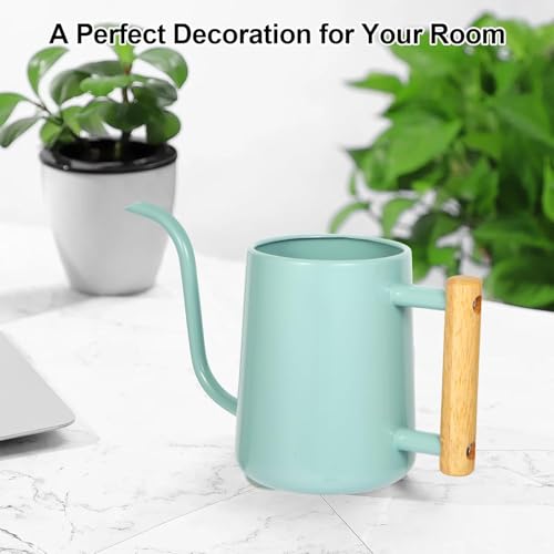 Image of Watering Can Indoor Plants, 35 oz /1000 ml Metal Stainless Steel Watering Can Pot with Long Spout for Indoor House Plants Bonsai Outdoor Garden Flower Decorative (Green