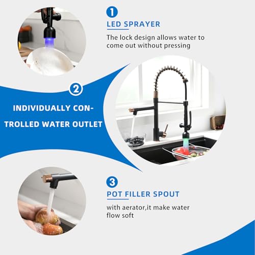 Image of Fapully Single Handle Pull Down Sprayer Black&Rose Gold Kitchen Faucet