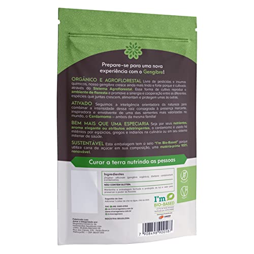 Gengibre e Cardamomo Ativado Da Floresta, Viva Regenera 60g em Pó