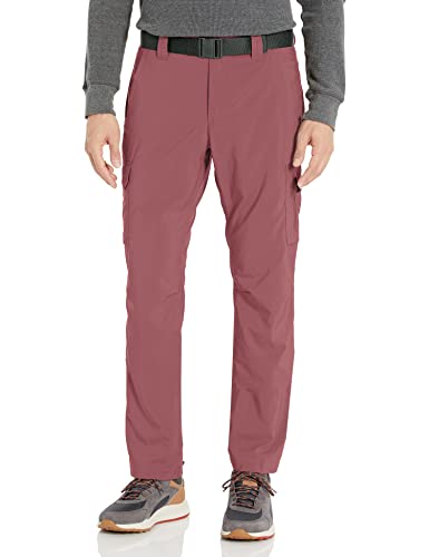 Pantalon Columbia Silver Ridge homme idéal pour randonnée et voyage en taille 34