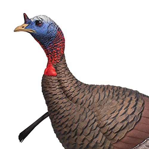Flextone Hunting Lightweight Ultra Realistic Lifelike Plastic Outdoor Thunder Jake Turkey Decoy - Brown #TOP4