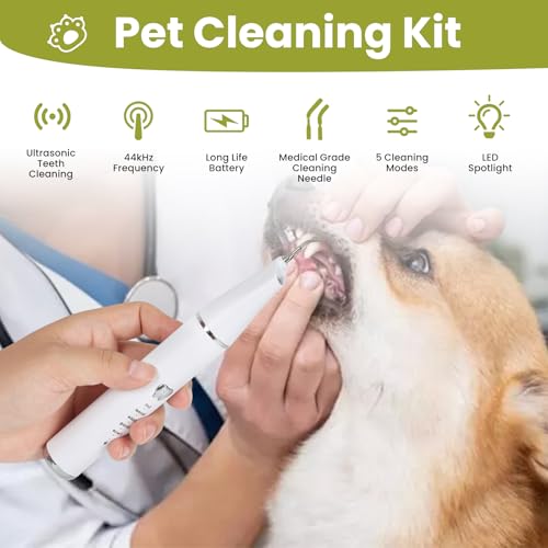 Zahnreinigungsset Ultraschall für Hund, Hundezahnreinigungsset mit LED-Licht, Zahnsteinentferner Ultraschall Zahnreiniger für Haustiere zum Entfernen von Zahnstein & Zahnbelag, 5 Reinigungsmodi
