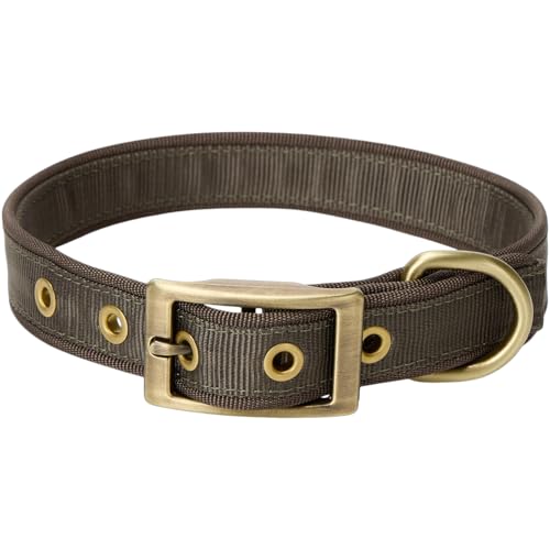 Drake Waterfowl Team Gun Dog Collar, Mud Brown, Medium