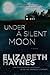 Under a Silent Moon: A Novel (Briarstone)