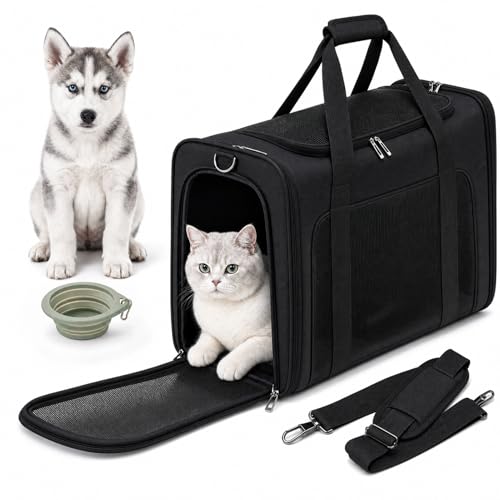 PALAMEA Trasportino Gatto Aereo 55x40x23cm Grande Pieghevole Trasportino Gatti Morbido Portatile Borsa per Cani Piccola Taglia 12kg Trasportinos Cani Omologato Aereo con Morbido Cuscino Lavabile
