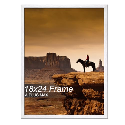A PLUS MAX 18x24 Picture Frame White Light Weight Wall Mount