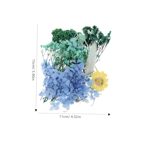 Flores secas naturales para manualidades DIY pack 1 miniatura 2