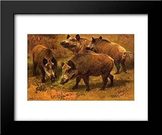 Four Boars In A Landscape 24x20 Framed Art Print by Rosa Bonheur