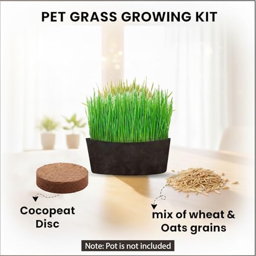 Image of Garden Genie Cat Grass Seeds DIY Growing Kit for Pets, Set of 1