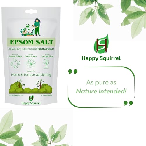Image of Epsom Salt for Plants | 100% Pure Organic Fertilizer for Plants Home Garden | Plant Booster for Speed Growth | Promotes Green leaves, Flowering, Fruits (375 Grams)