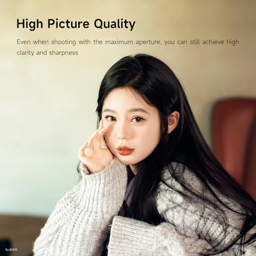 Brightin Star 50mm F1.4 III APS-C Lens for Panasonic LUMIX,Olympus Micro 4/3 Mount, Manual Focus MF Prime Large Aperture Mirrorless Camera Lens Fit for G7, GX85, GX9, G95, GH5, GH6, G100, G9 - Image 4