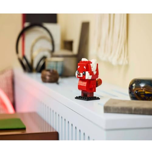 Mei en panda roux - vue 5