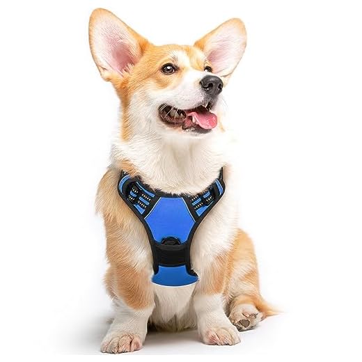 Eagloo Hundegeschirr Geschirr für Große Hunde Anti Zug Mittelgroße Brustgeschirr No Pull Sicherheitsgeschirr Auto Dog Harness Labrador Welpengeschirr Joggen Ausbruchsicher Weich Gepolstert Blau M