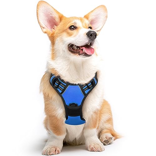 Image of Eagloo Dog Harness for Medium Sized Dogs, No Pull Vest with 2 Leash Clips