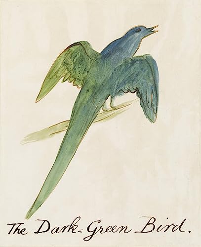 Toile murale abstraite l'oiseau vert foncé Edward Leaars haut de gamme