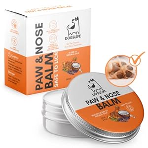 Paws & Nose Balm – Pflegender Balsam für Hunde – Für Pfoten und Nase – Lindert Juckreiz, Risse und Schäden – Inhalt 60 ml – Our Dogs Life