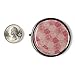 GoPillable Pill Box/Pill Case for Purse or Pocket - Rose Pill Box/Pill Case Featuring Three compartments Perfect for Carrying Medication in Pocket or Purse