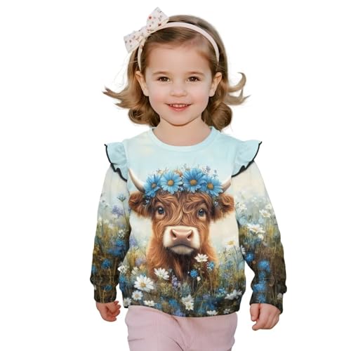 WELLFLYHOM Girl's Pullover Tops 1-8T Graphic Sweatshirt Clothes Crew Neck Long Sleeve Kids Top Sweater Top Fall Outfits