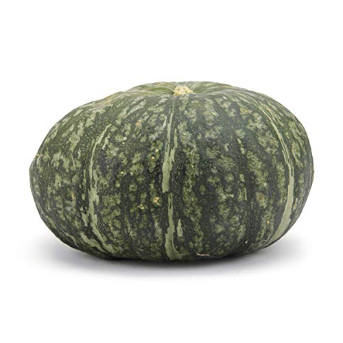 Squash Kabocha Whole Trade Guarantee Organic