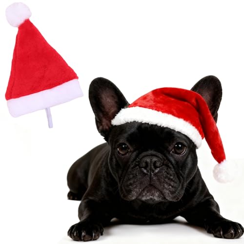 Sombrero de Santa para perros y gatos navideño