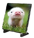 portafotos bebe mi primer año IMPORTANTE: Este tipo de producto se considera personalizado, se hace a mano por encargo para cada pedido de forma exclusiva con la imagen que usted ha elegido al comprar justamente este producto. En base a esto según la política de Amazon no se aceptan devoluciones.