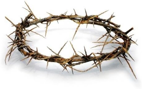 Holy Land Imports Passion of Christ Crown of Thorns/Authentic Crown of Thorns in Gift Box with Description