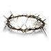 Passion of Christ Crown of Thorns/ Authentic Crown of Thorns Comes in Gift Box with Description