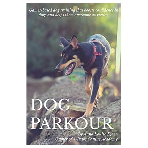 Dog Parkour: Games-based dog training that boosts confidence in dogs and helps them overcome anxieties.