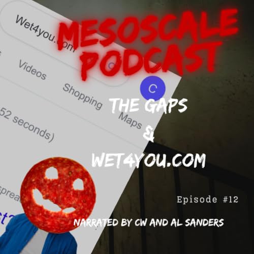 Mesoscale Podcast Ep 12:The Gaps & Wet4You.com