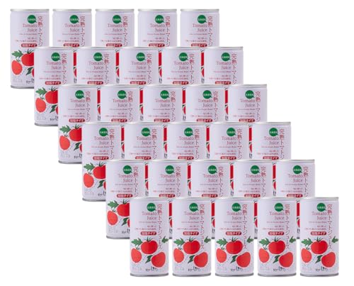 〔定期便〕完熟トマトジュース(加塩)190g×30缶×4ヶ月 保存料 無添加 国産 北海道産 とまと 野菜ジュース 美容 健康 n-0010
