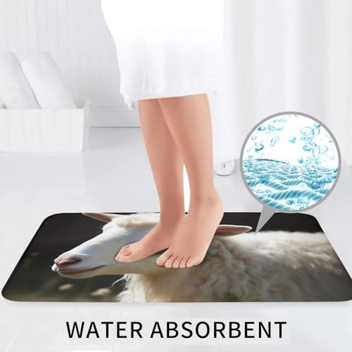 Tapis de bain microfibre absorbant ensemble 3 pièces contour et WC