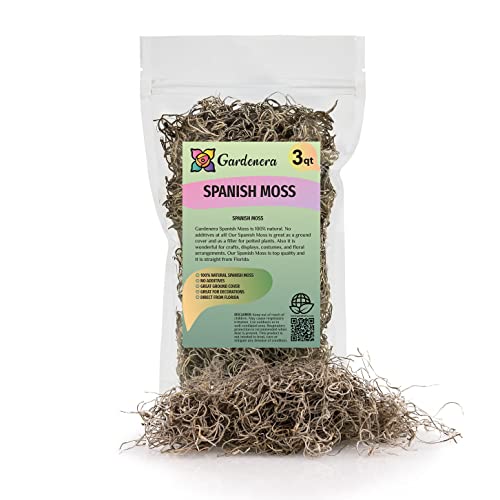 Gardenera 3 Quart Spanish Moss