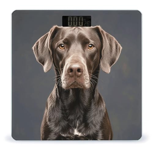 Báscula Digital Dalmatian para Baño con Vidrio Templado miniatura 1