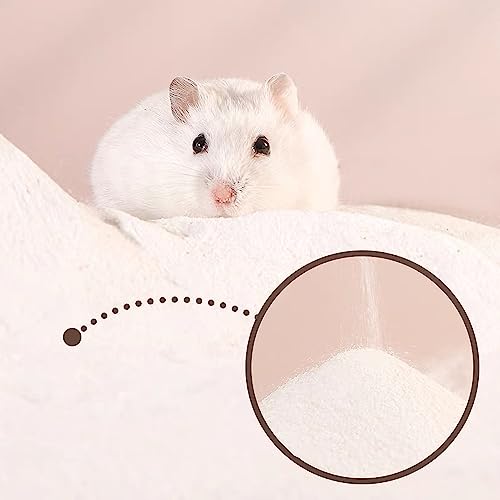DR.DUDU Areia de banho para hamster, 1,3 kg, livre de poeira, areia do deserto ou areia de vaso sani