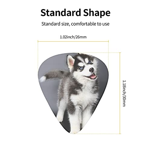 Ensemble de 12 médiators de guitare pour chien Husky mignon pour guitare acoustique, guitare électrique, contrebasse… - Les Beatles, Paul McCartney, John Lennon, RIngo Starr, George Harrison Ensemble de 12 médiators de guitare pour chien Husky mignon pour guitare acoustique, guitare électrique, contrebasse… – Image 5