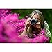 Nikon Z fc DX-Format Mirrorless Camera (1671B) + 64GB Memory Card + Camera Bag + Flexible Tripod + Cleaning Kit + HDMI/Micro Cable + Hand Strap + Card Wallet + More