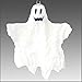 Jcw Investments Inc/Tekky Toys Small Flying Ghost Multicoloured One Size