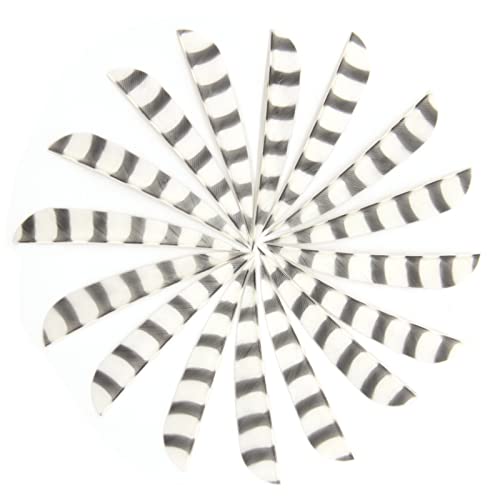 MILUWOND Archery Fletching 4 Inch Parabolic Type Double Side Barred Arrow Feather Arrow fletching for Archery Hunting(50 Pack)